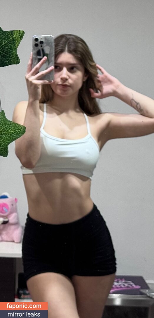Soydairi