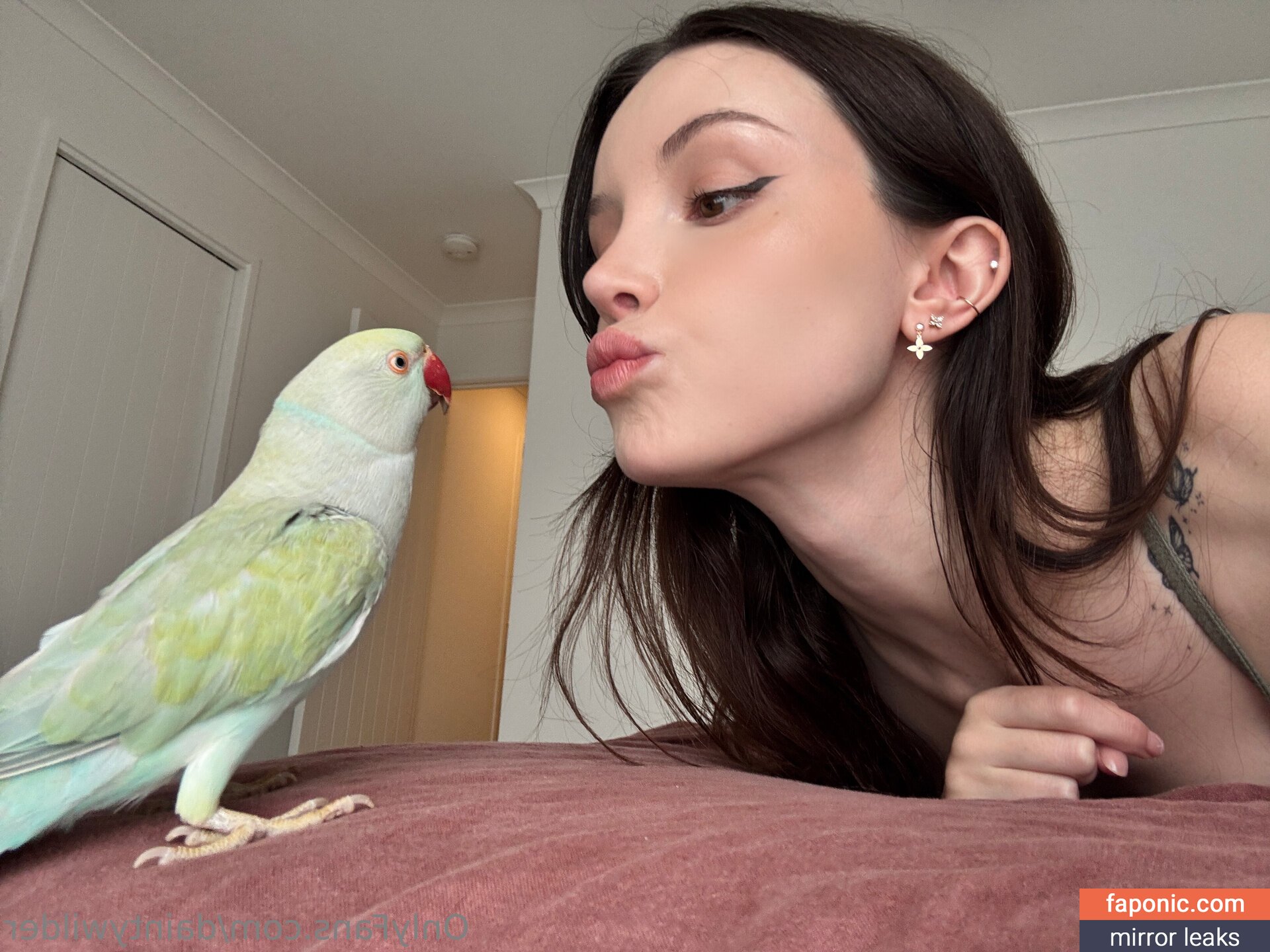 daintywilder