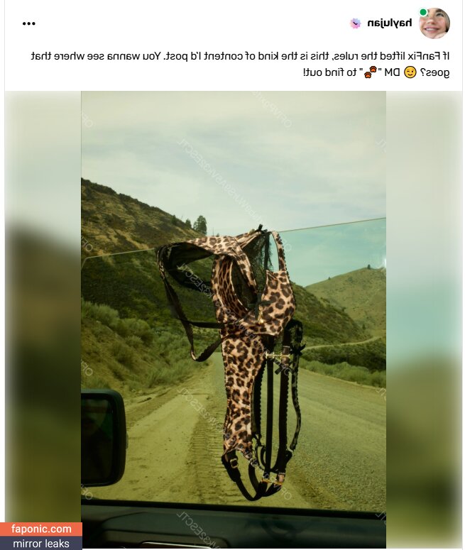 Lunchbaglujan