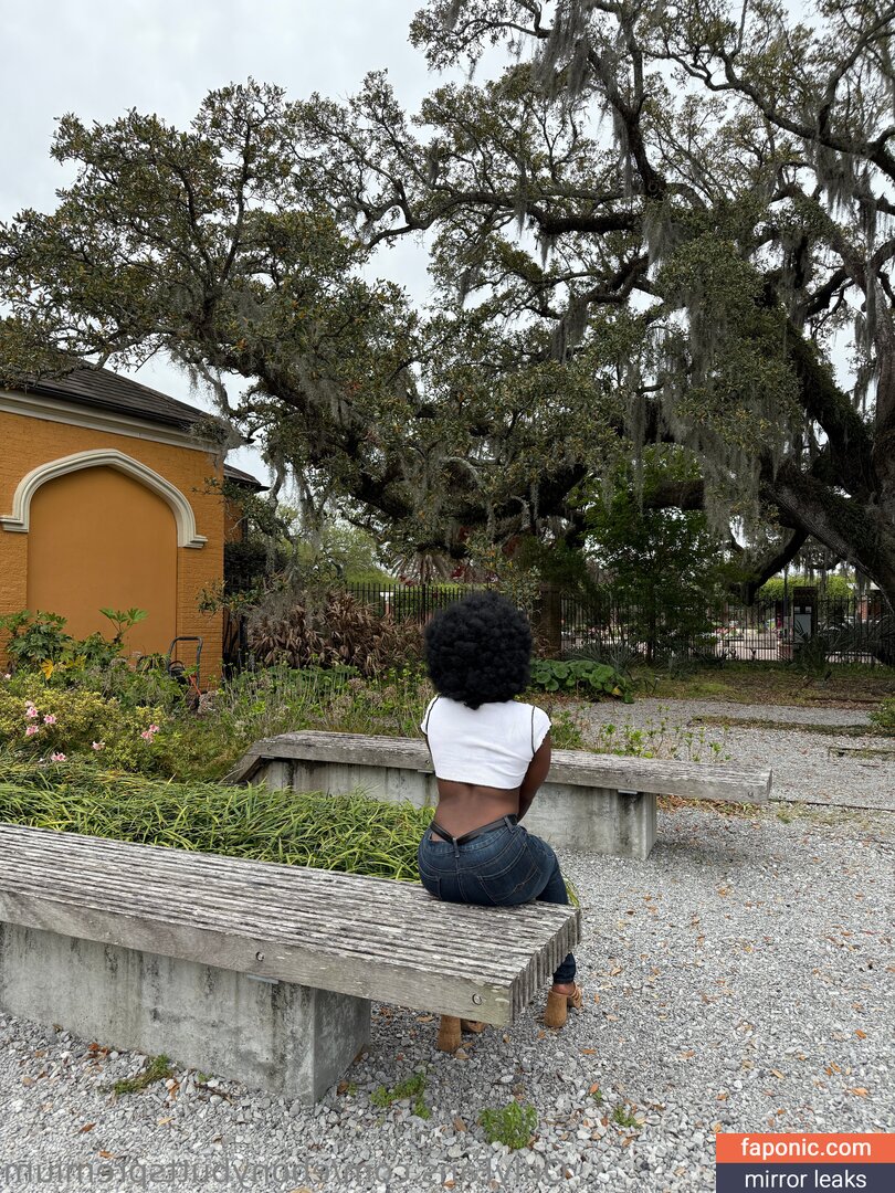 ebonybuttspremium