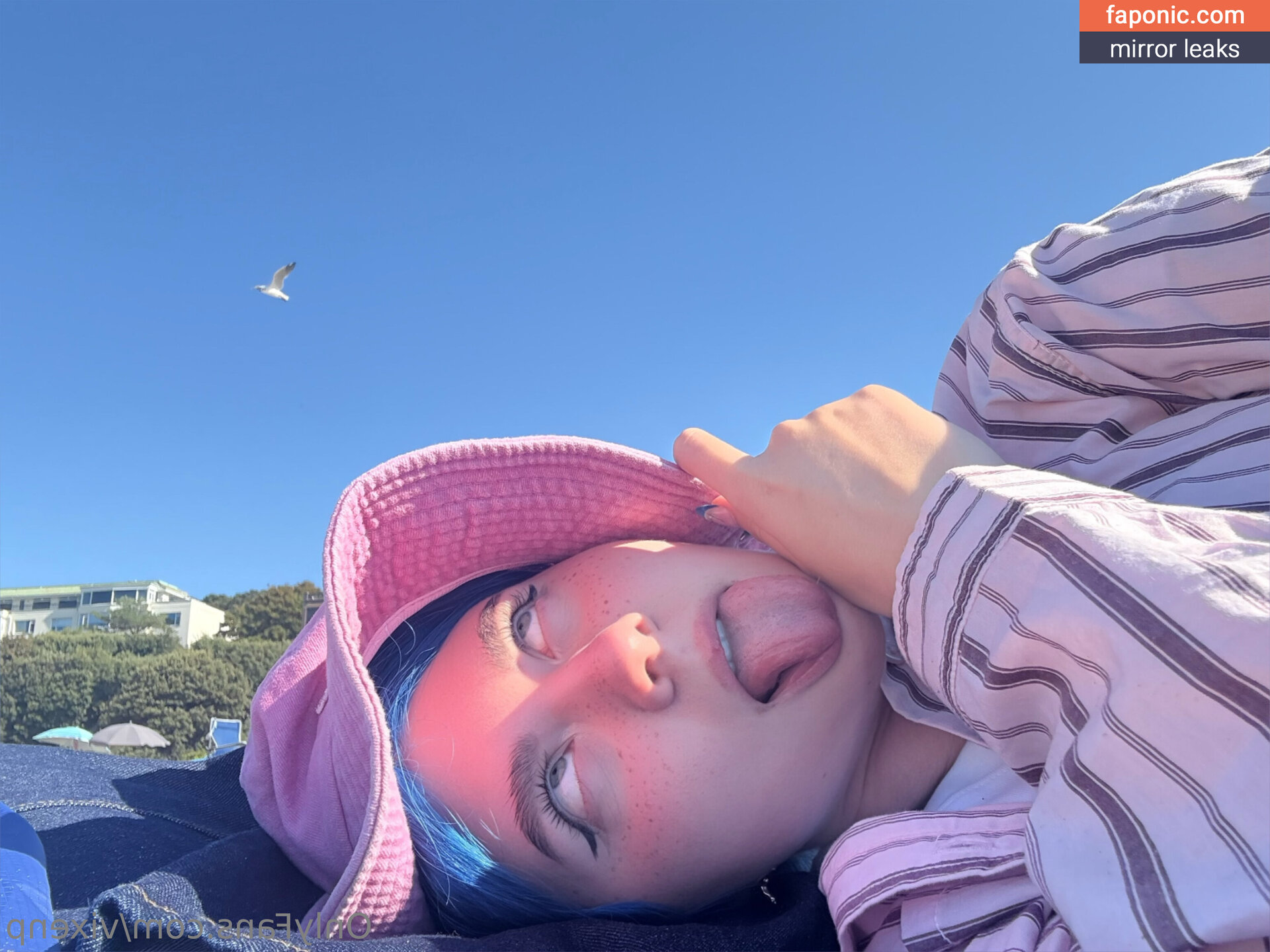 Vixenp