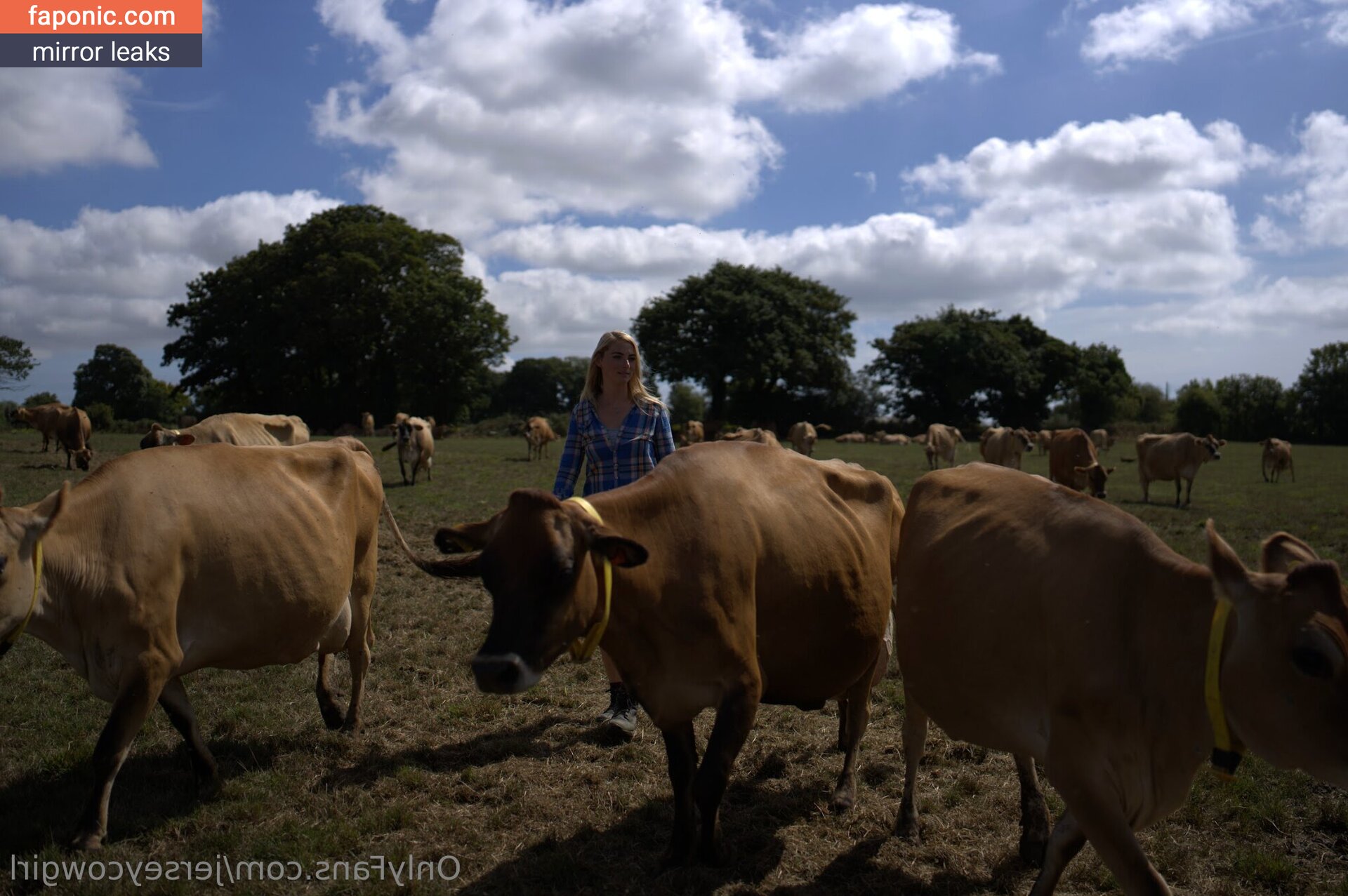 jerseycowgirl