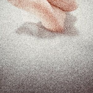 ari_sfeet