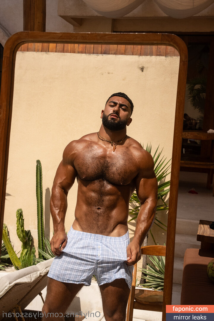 elyassorari