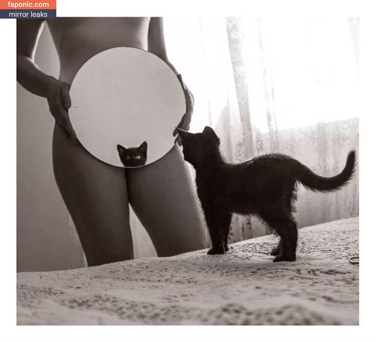 Kitty Cat