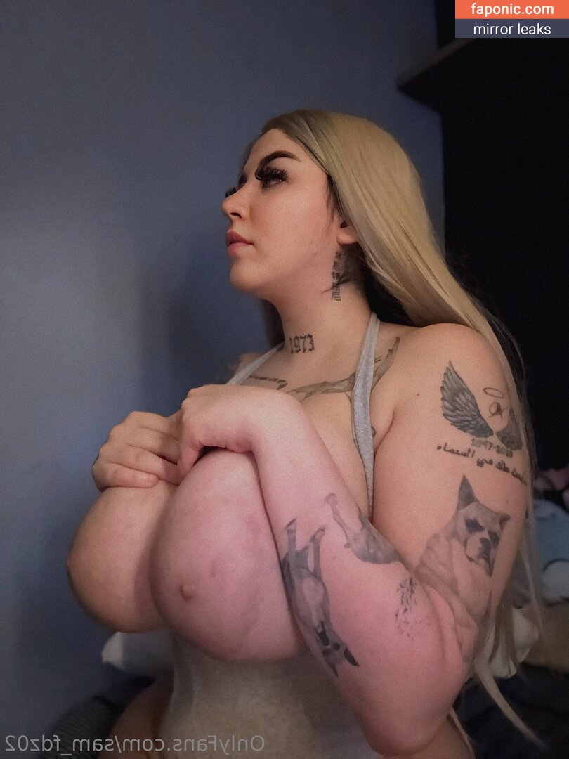 sam_fdz02