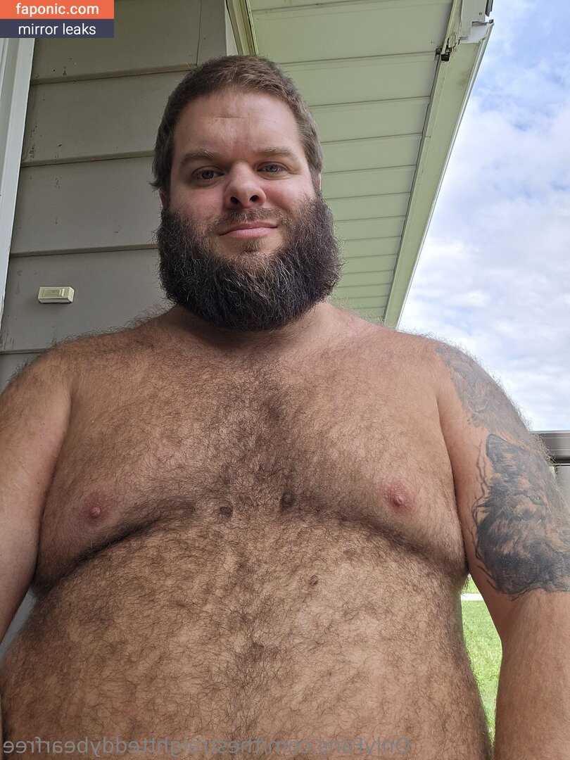 thestraightteddybearfree
