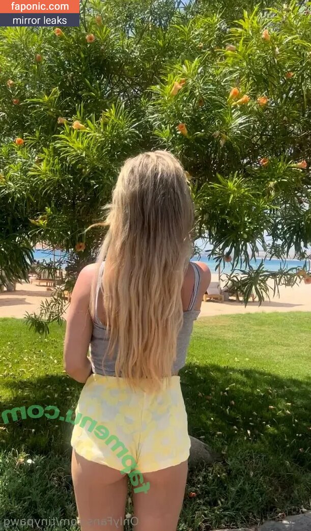 tinypawg